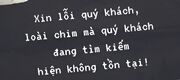 Loài Chim Mà Quý Khách Đang Tìm Kiếm Hiện Không Tồn Tại