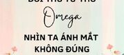 Trùng Sinh Sau Đối Thủ Tử Thù Omega Nhìn Ta Ánh Mắt Không Đúng
