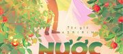 Nước Quýt Có Gas