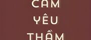 Phim Câm Yêu Thầm