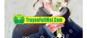 Xuyên Về Thập Niên 80, Thôn Nữ Cật Lực Làm Giàu Đổi Đời
